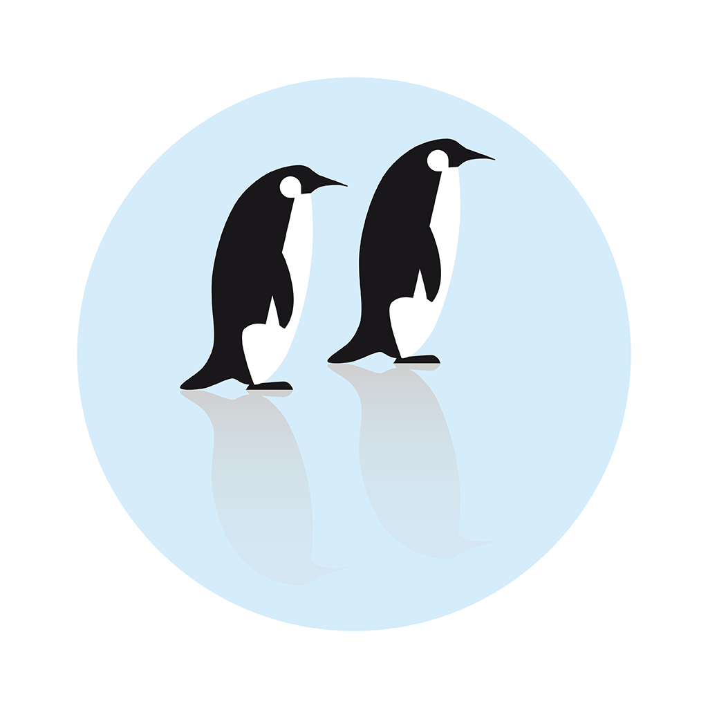 Kaiserpinguine