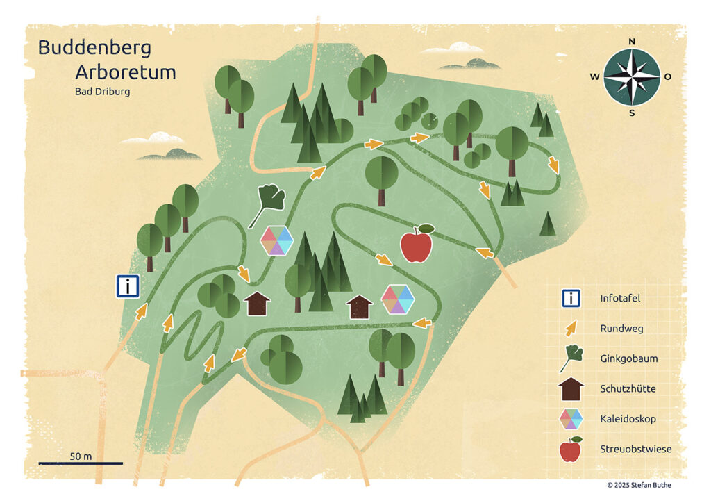Illustrierte Karte des Buddenberg-Arboretums in Bad Driburg