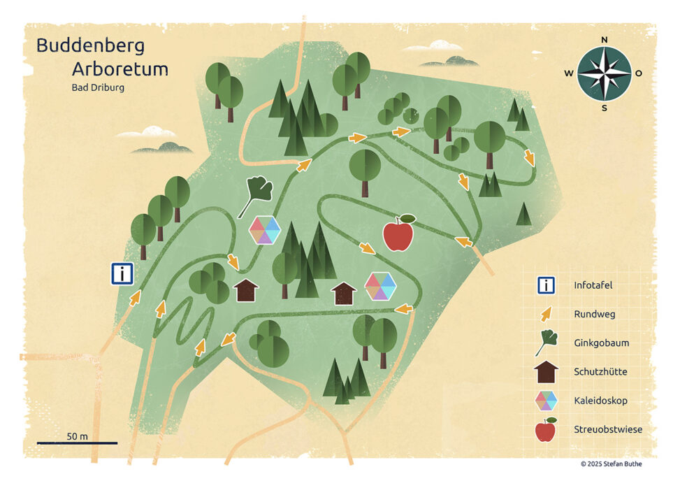 Illustrierte Karte des Buddenberg-Arboretums in Bad Driburg