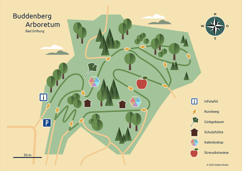 Illustrierte Karte des Buddenberg-Arboretums in Bad Driburg
